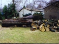 200604Firewood05