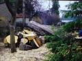 200604Firewood06