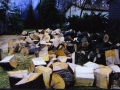 200604Firewood08