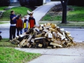 200604Firewood14