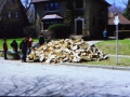 200604Firewood16