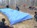 201301PolarBear016