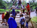 0406Zoo36