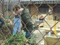 201305GagneEagleProj017