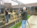 201305GagneEagleProj018