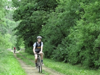 June - New Glarus Woods Campout