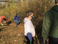 November - Hoyt Park Buckthorn Removal