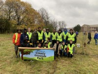 November - Tree Planting