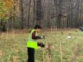 202211treeplanting04