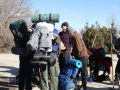 201202PolarBear001