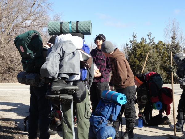 201202PolarBear001