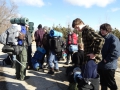 201202PolarBear005