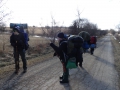201202PolarBear007