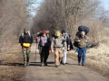 201202PolarBear012