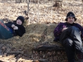 201202PolarBear017