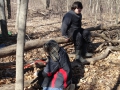 201202PolarBear018