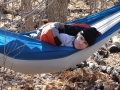 201202PolarBear022