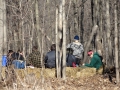 201202PolarBear023
