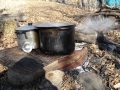 201202PolarBear025