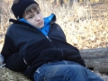 201202PolarBear028
