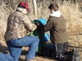 201202PolarBear034