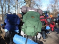 201202PolarBear046