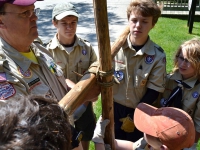 June - Scouting the Zoo