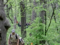 201105HickoryWoods040