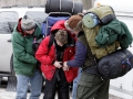 201001PolarBear007