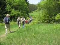 May - Greenbush Campout